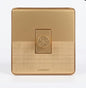 Big Plate Dimmer-Dimmer Premium Golden finish, Switches and Sockets.